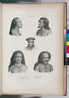 An illustration from Voyage de la corvette l'Astrolabe exécuté par ordre du roi, pendant les années 1826-1827-1828-1829, sous le commandement de M. J. Dumont d'Urville (1830)