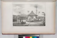 Picture 19 of 426 from Voyage de la corvette l'Astrolabe exécuté par ordre du roi, pendant les années 1826-1827-1828-1829, sous le commandement de M. J. Dumont d'Urville (1830), leaf 19