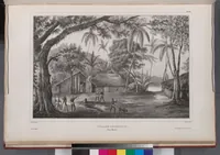 An illustration from Voyage de la corvette l'Astrolabe exécuté par ordre du roi, pendant les années 1826-1827-1828-1829, sous le commandement de M. J. Dumont d'Urville (1830)