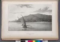 An illustration from Voyage de la corvette l'Astrolabe exécuté par ordre du roi, pendant les années 1826-1827-1828-1829, sous le commandement de M. J. Dumont d'Urville (1830)