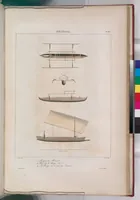An illustration from Voyage de la corvette l'Astrolabe exécuté par ordre du roi, pendant les années 1826-1827-1828-1829, sous le commandement de M. J. Dumont d'Urville (1830)