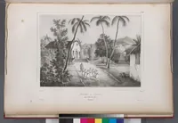 An illustration from Voyage de la corvette l'Astrolabe exécuté par ordre du roi, pendant les années 1826-1827-1828-1829, sous le commandement de M. J. Dumont d'Urville (1830)
