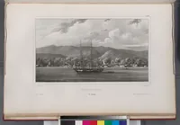 Picture 208 of 426 from Voyage de la corvette l'Astrolabe exécuté par ordre du roi, pendant les années 1826-1827-1828-1829, sous le commandement de M. J. Dumont d'Urville (1830), leaf 209