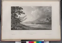 Picture 214 of 426 from Voyage de la corvette l'Astrolabe exécuté par ordre du roi, pendant les années 1826-1827-1828-1829, sous le commandement de M. J. Dumont d'Urville (1830), leaf 215
