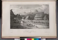 Picture 219 of 426 from Voyage de la corvette l'Astrolabe exécuté par ordre du roi, pendant les années 1826-1827-1828-1829, sous le commandement de M. J. Dumont d'Urville (1830), leaf 220