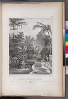 An illustration from Voyage de la corvette l'Astrolabe exécuté par ordre du roi, pendant les années 1826-1827-1828-1829, sous le commandement de M. J. Dumont d'Urville (1830)