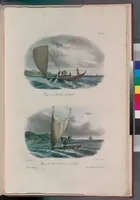 An illustration from Voyage de la corvette l'Astrolabe exécuté par ordre du roi, pendant les années 1826-1827-1828-1829, sous le commandement de M. J. Dumont d'Urville (1830)