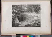 An illustration from Voyage de la corvette l'Astrolabe exécuté par ordre du roi, pendant les années 1826-1827-1828-1829, sous le commandement de M. J. Dumont d'Urville (1830)