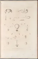 An illustration from Voyage de la corvette l'Astrolabe exécuté par ordre du roi, pendant les années 1826-1827-1828-1829, sous le commandement de M. J. Dumont d'Urville (1830)