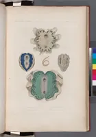 Picture 393 of 426 from Voyage de la corvette l'Astrolabe exécuté par ordre du roi, pendant les années 1826-1827-1828-1829, sous le commandement de M. J. Dumont d'Urville (1830), leaf 412