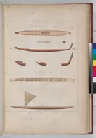 An illustration from Voyage de la corvette l'Astrolabe exécuté par ordre du roi, pendant les années 1826-1827-1828-1829, sous le commandement de M. J. Dumont d'Urville (1830)