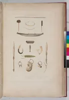 An illustration from Voyage de la corvette l'Astrolabe exécuté par ordre du roi, pendant les années 1826-1827-1828-1829, sous le commandement de M. J. Dumont d'Urville (1830)