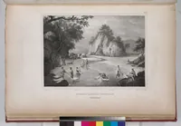 Picture 49 of 426 from Voyage de la corvette l'Astrolabe exécuté par ordre du roi, pendant les années 1826-1827-1828-1829, sous le commandement de M. J. Dumont d'Urville (1830), leaf 49