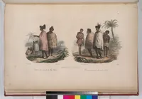 Picture 51 of 426 from Voyage de la corvette l'Astrolabe exécuté par ordre du roi, pendant les années 1826-1827-1828-1829, sous le commandement de M. J. Dumont d'Urville (1830), leaf 51