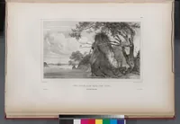 Picture 72 of 426 from Voyage de la corvette l'Astrolabe exécuté par ordre du roi, pendant les années 1826-1827-1828-1829, sous le commandement de M. J. Dumont d'Urville (1830), leaf 72