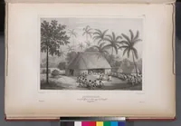 Picture 78 of 426 from Voyage de la corvette l'Astrolabe exécuté par ordre du roi, pendant les années 1826-1827-1828-1829, sous le commandement de M. J. Dumont d'Urville (1830), leaf 78