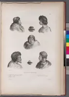 Picture 80 of 426 from Voyage de la corvette l'Astrolabe exécuté par ordre du roi, pendant les années 1826-1827-1828-1829, sous le commandement de M. J. Dumont d'Urville (1830), leaf 80