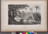 Picture 84 of 426 from Voyage de la corvette l'Astrolabe exécuté par ordre du roi, pendant les années 1826-1827-1828-1829, sous le commandement de M. J. Dumont d'Urville (1830), leaf 84