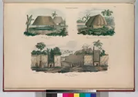 Picture 99 of 426 from Voyage de la corvette l'Astrolabe exécuté par ordre du roi, pendant les années 1826-1827-1828-1829, sous le commandement de M. J. Dumont d'Urville (1830), leaf 99
