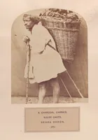 Picture 177 of 481 from The people of India : A series of photographic illustrations, with descriptive letterpress, of the races and tribes of Hindustan, originally prepared under the authority of the government of India, and reproduced (1868), leaf 178