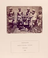 Picture 417 of 481 from The people of India : A series of photographic illustrations, with descriptive letterpress, of the races and tribes of Hindustan, originally prepared under the authority of the government of India, and reproduced (1868), leaf 421