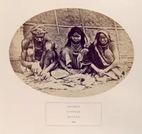 Picture 464 of 481 from The people of India : A series of photographic illustrations, with descriptive letterpress, of the races and tribes of Hindustan, originally prepared under the authority of the government of India, and reproduced (1868), leaf 468