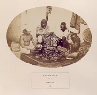 Picture 465 of 481 from The people of India : A series of photographic illustrations, with descriptive letterpress, of the races and tribes of Hindustan, originally prepared under the authority of the government of India, and reproduced (1868), leaf 469