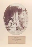 Picture 7 of 481 from The people of India : A series of photographic illustrations, with descriptive letterpress, of the races and tribes of Hindustan, originally prepared under the authority of the government of India, and reproduced (1868), leaf 7