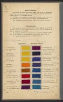 An illustration from Saisonfarben : Fashionable Colours (1924)