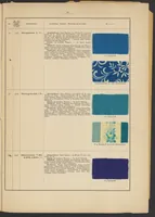 An illustration from Tabellarische Übersicht über die künstlichen organischen Farbstoffe und ihre Anwendung in Färberei und Zeugdruck (1905)