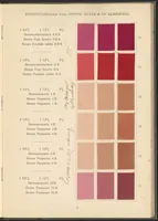 Picture 3 of 28 from Benzidinfarben auf Baumwollstückware (1901), leaf 13