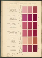 Picture 4 of 28 from Benzidinfarben auf Baumwollstückware (1901), leaf 14