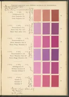 An illustration from Benzidinfarben auf Baumwollstückware (1901)