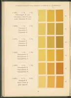 Picture 8 of 28 from Benzidinfarben auf Baumwollstückware (1901), leaf 18