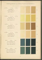 An illustration from Benzidinfarben auf Baumwollstückware (1901)