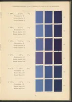 An illustration from Benzidinfarben auf Baumwollstückware (1901)