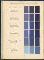 Picture 14 of 28 from Benzidinfarben auf Baumwollstückware (1901), leaf 24