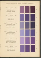 An illustration from Benzidinfarben auf Baumwollstückware (1901)