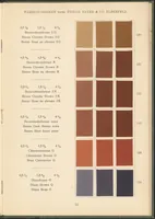 An illustration from Benzidinfarben auf Baumwollstückware (1901)