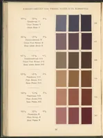 Picture 24 of 28 from Benzidinfarben auf Baumwollstückware (1901), leaf 34