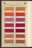 Picture 2 of 17 from National Dyes for Union Materials (1917), leaf 15