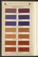 An illustration from National Dyes for Union Materials (1917)
