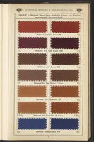 An illustration from National Dyes for Union Materials (1917)