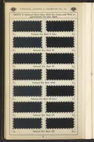 Picture 8 of 17 from National Dyes for Union Materials (1917), leaf 21