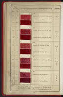 Picture 8 of 14 from Naphtol AS on Rayon (1927), leaf 13
