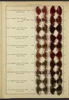 Picture 8 of 14 from Indanthren Dyeings on Rayon (Viscose) Yarn (1920), leaf 10