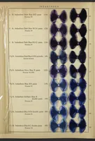 Picture 5 of 14 from Indanthren Dyeings on Rayon (Viscose) Yarn (1920), leaf 7