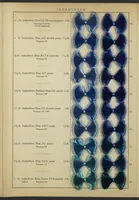 Picture 6 of 14 from Indanthren Dyeings on Rayon (Viscose) Yarn (1920), leaf 8