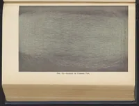 Picture 2 of 13 from Dress, Blouse, and Costume Cloths, Design and Fabric Manufacture (1921), leaf 24