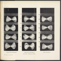 An illustration from Dress, Blouse, and Costume Cloths, Design and Fabric Manufacture (1921)
